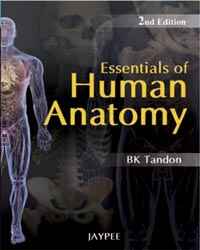 Essentials of Human Anatomy
